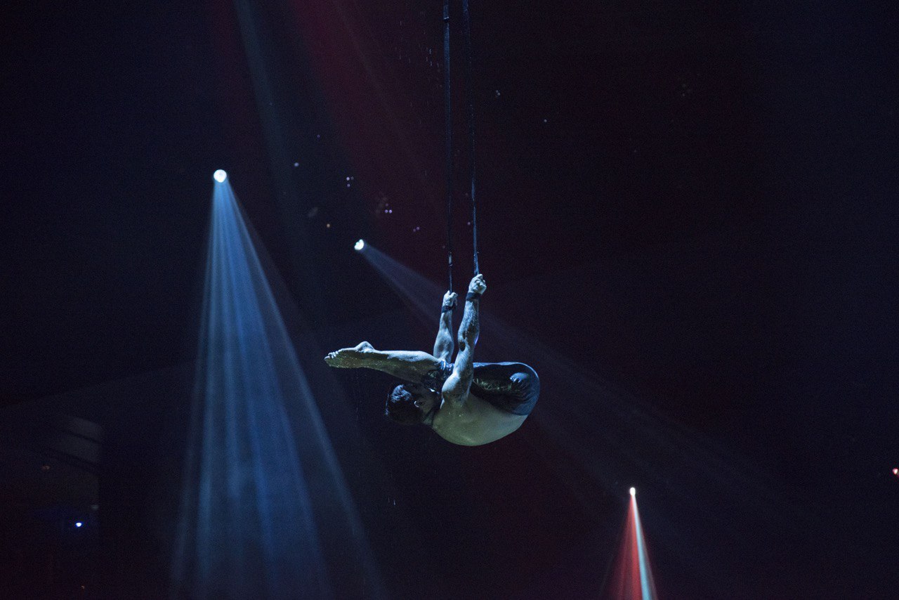 JEREMY WILLI - BUNGEE STRAPS